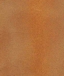 Velvet 11 Horse F128