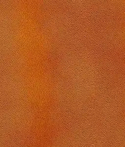 Velvet 10 Horse F175