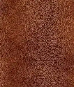 Velvet 9 Horse F176