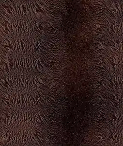 Velvet 8 Horse F177
